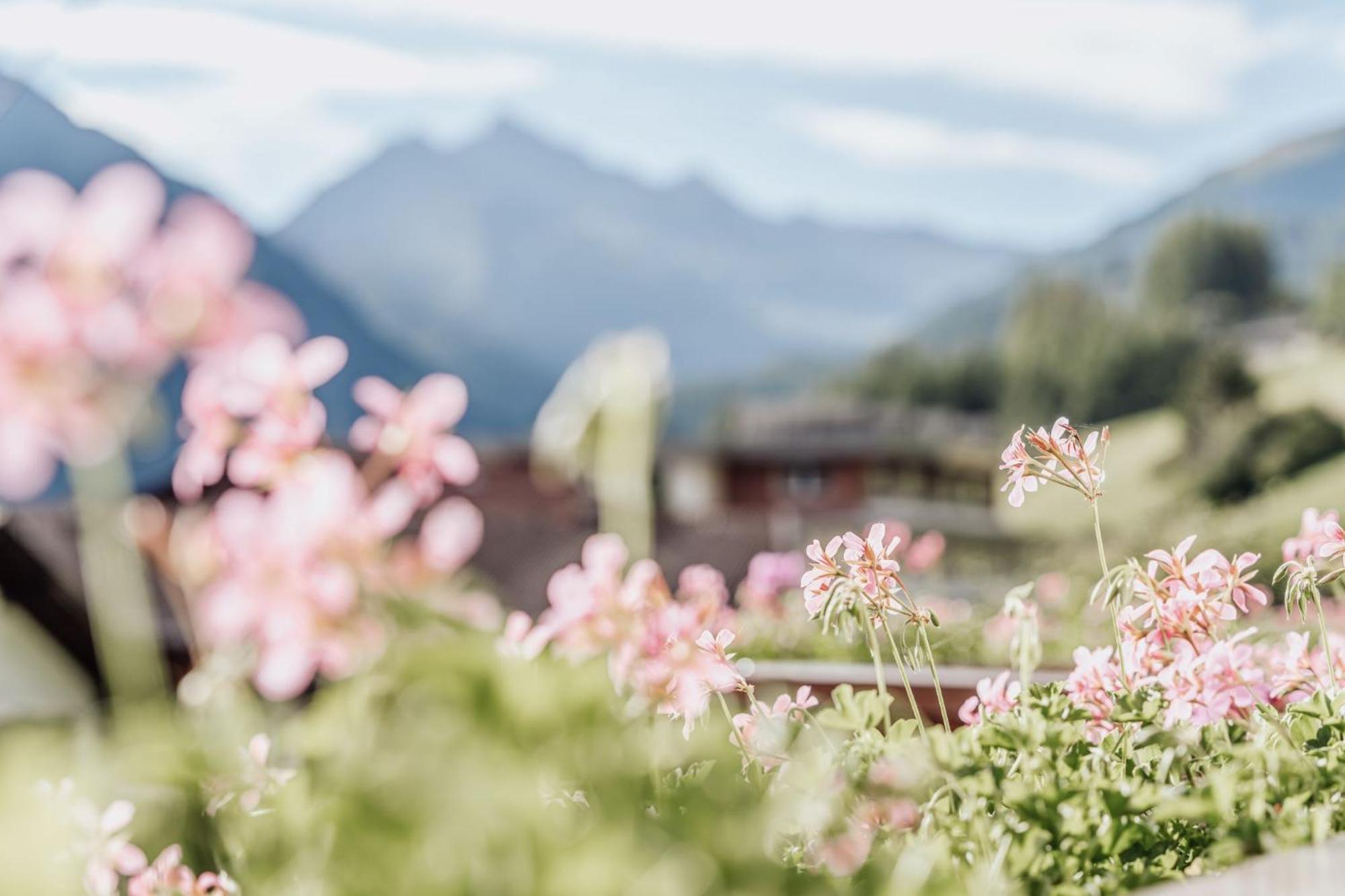 Bed and Breakfast Auer-Fiegl à Sölden Extérieur photo